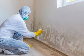 Why You Should Choose Our Mold Remediation Services in Carson, CA