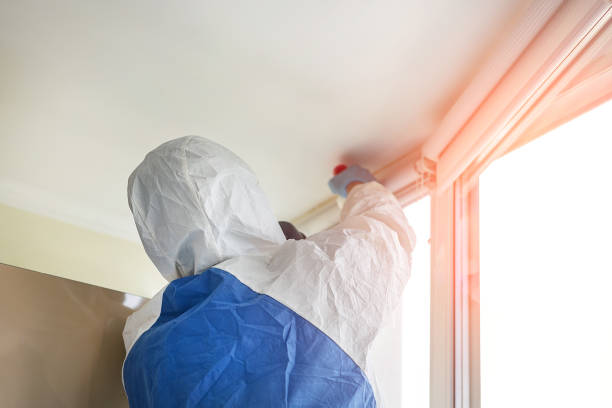 Biohazard Mold Removal in Carson, CA