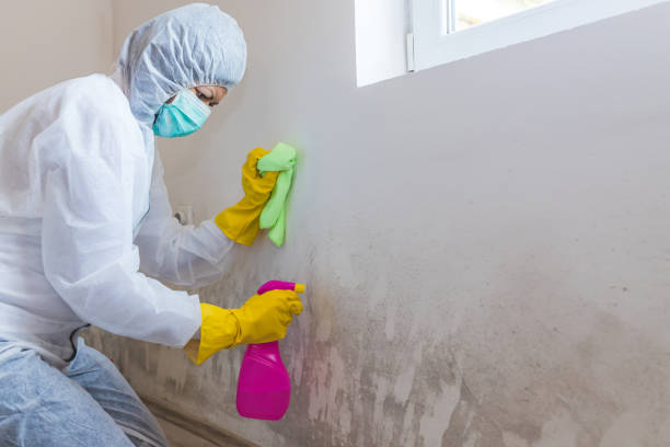 Forensic Mold Investigation in Carson, CA