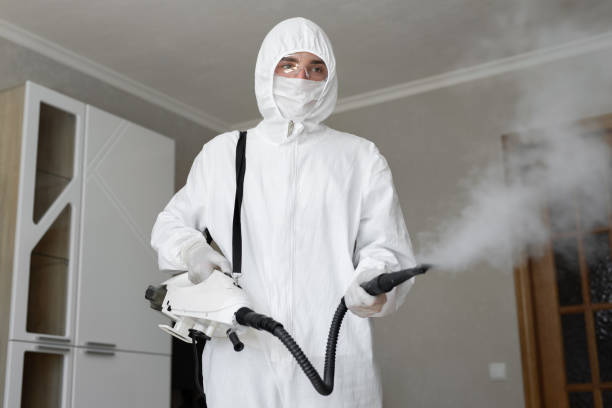 Mold Remediation for Vacation Homes in Carson, CA