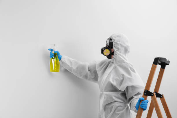 Best Industrial Mold Remediation  in Rson, CA